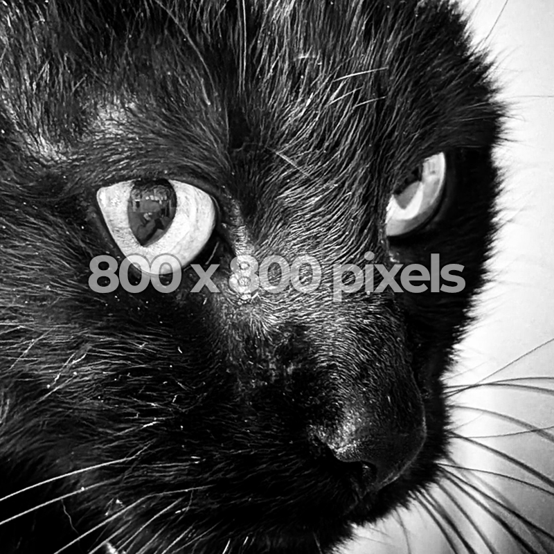 Pixie also demos image sizes.